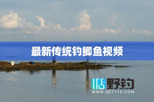 最新传统钓鲫鱼视频