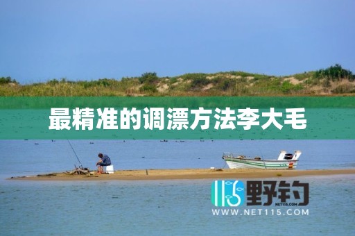 最精准的调漂方法李大毛