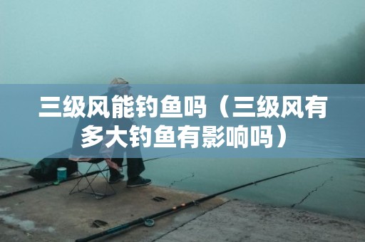 三级风能钓鱼吗（三级风有多大钓鱼有影响吗）