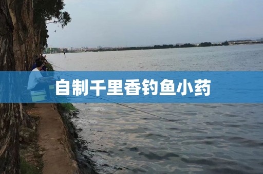 自制千里香钓鱼小药