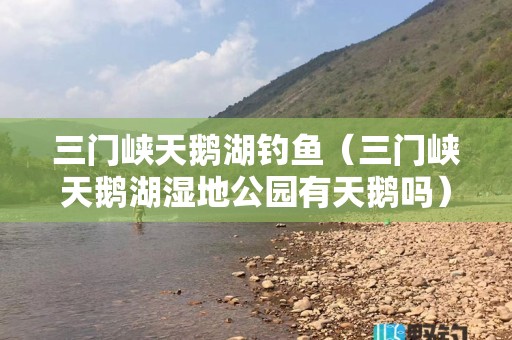 三门峡天鹅湖钓鱼（三门峡天鹅湖湿地公园有天鹅吗）