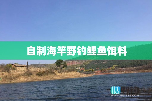 自制海竿野钓鲤鱼饵料