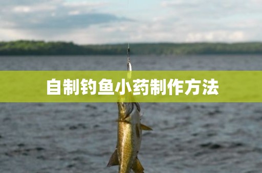 自制钓鱼小药制作方法