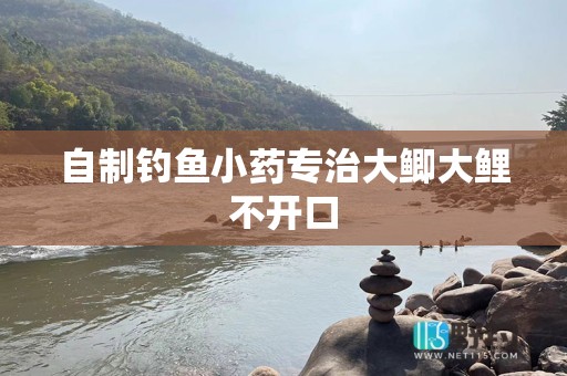 自制钓鱼小药专治大鲫大鲤不开口