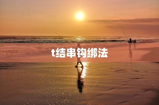 t结串钩绑法
