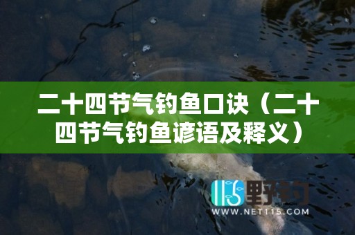 二十四节气钓鱼口诀（二十四节气钓鱼谚语及释义）