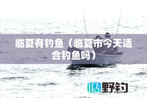 临夏有钓鱼（临夏市今天适合钓鱼吗）
