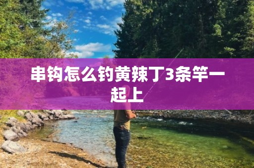 串钩怎么钓黄辣丁3条竿一起上