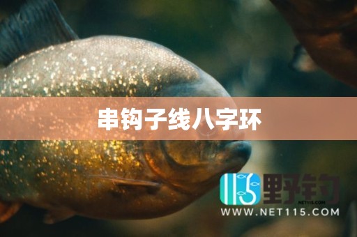 串钩子线八字环