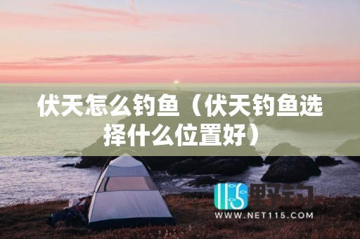 伏天怎么钓鱼（伏天钓鱼选择什么位置好）