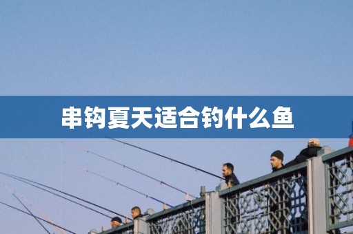 串钩夏天适合钓什么鱼