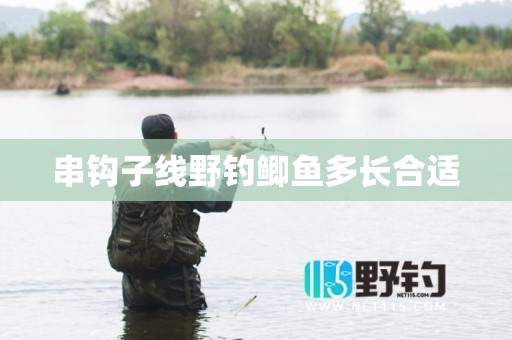 串钩子线野钓鲫鱼多长合适