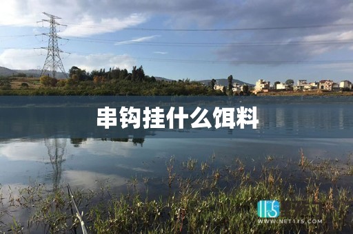 串钩挂什么饵料