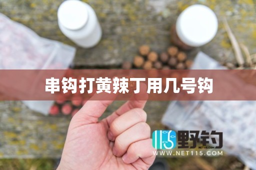 串钩打黄辣丁用几号钩