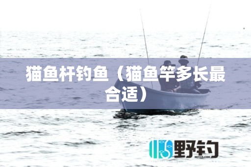 猫鱼杆钓鱼（猫鱼竿多长最合适）