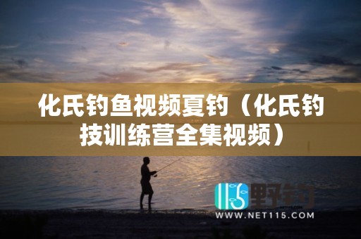 化氏钓鱼视频夏钓（化氏钓技训练营全集视频）