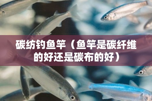 碳纺钓鱼竿（鱼竿是碳纤维的好还是碳布的好）