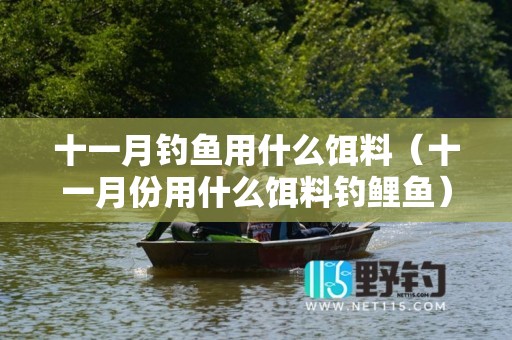 十一月钓鱼用什么饵料（十一月份用什么饵料钓鲤鱼）