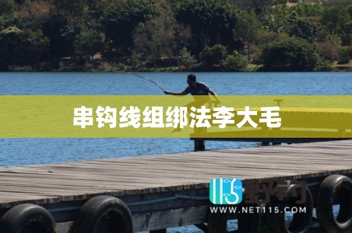 串钩线组绑法李大毛