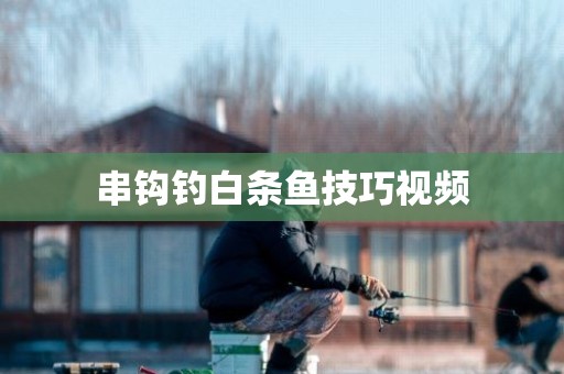 串钩钓白条鱼技巧视频
