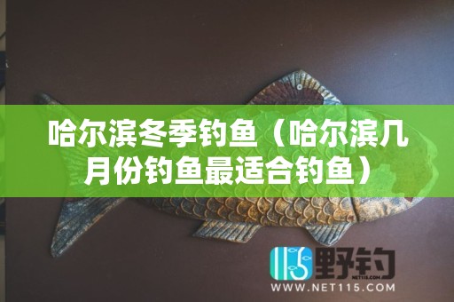 哈尔滨冬季钓鱼（哈尔滨几月份钓鱼最适合钓鱼）