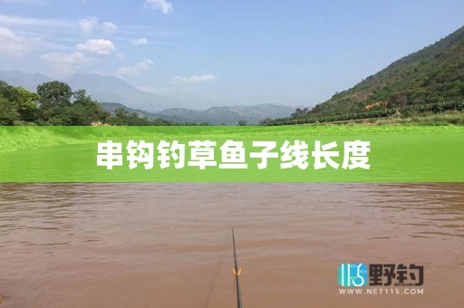 串钩钓草鱼子线长度