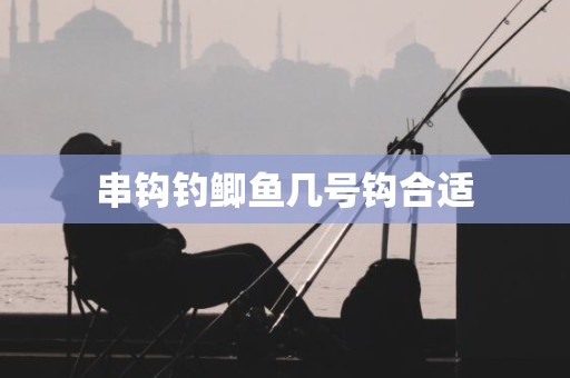 串钩钓鲫鱼几号钩合适