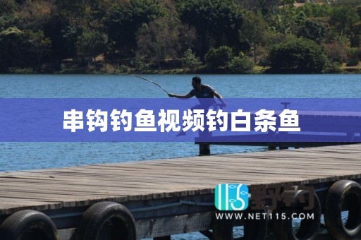 串钩钓鱼视频钓白条鱼