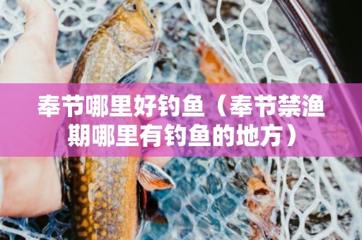 奉节哪里好钓鱼（奉节禁渔期哪里有钓鱼的地方）