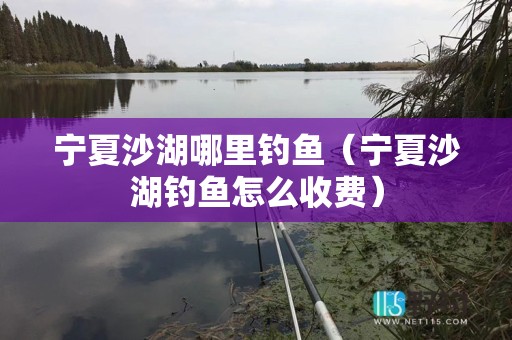 宁夏沙湖哪里钓鱼（宁夏沙湖钓鱼怎么收费）