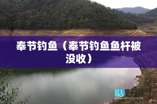 奉节钓鱼（奉节钓鱼鱼杆被没收）
