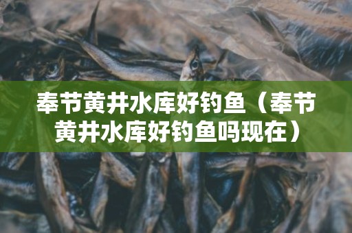 奉节黄井水库好钓鱼（奉节黄井水库好钓鱼吗现在）