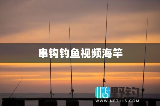 串钩钓鱼视频海竿