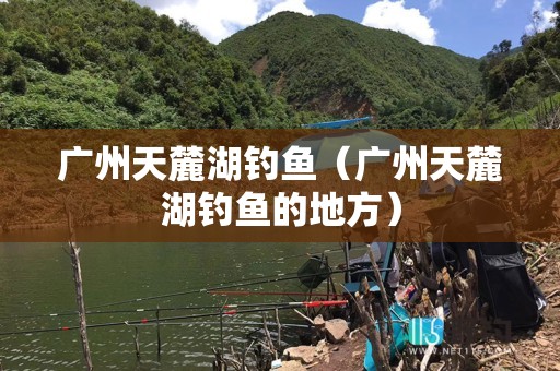 广州天麓湖钓鱼（广州天麓湖钓鱼的地方）