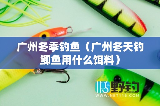 广州冬季钓鱼（广州冬天钓鲫鱼用什么饵料）