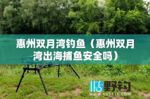 惠州双月湾钓鱼（惠州双月湾出海捕鱼安全吗）