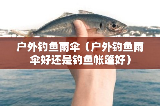 户外钓鱼雨伞（户外钓鱼雨伞好还是钓鱼帐篷好）