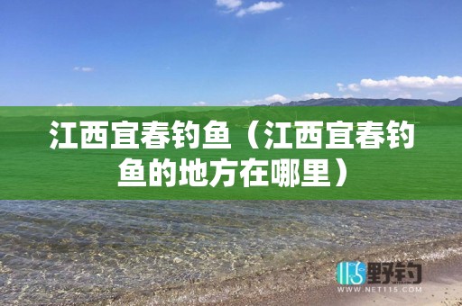 江西宜春钓鱼（江西宜春钓鱼的地方在哪里）