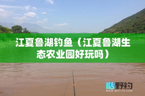 江夏鲁湖钓鱼（江夏鲁湖生态农业园好玩吗）