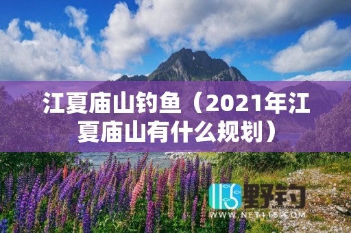 江夏庙山钓鱼（2021年江夏庙山有什么规划）