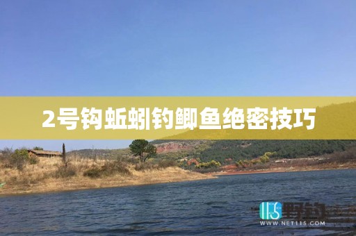 2号钩蚯蚓钓鲫鱼绝密技巧