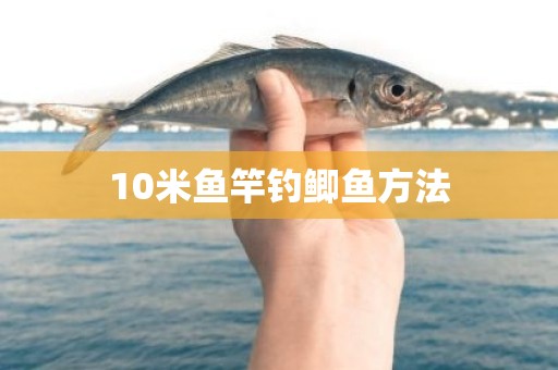 10米鱼竿钓鲫鱼方法