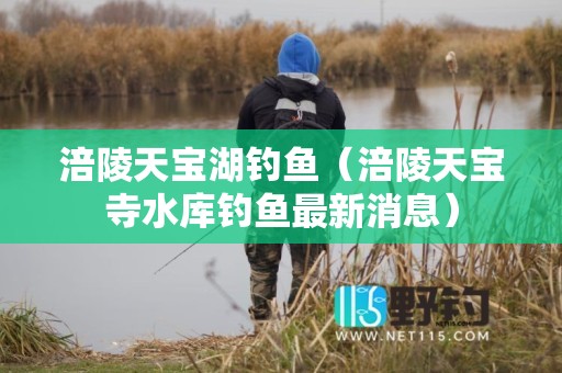 涪陵天宝湖钓鱼（涪陵天宝寺水库钓鱼最新消息）