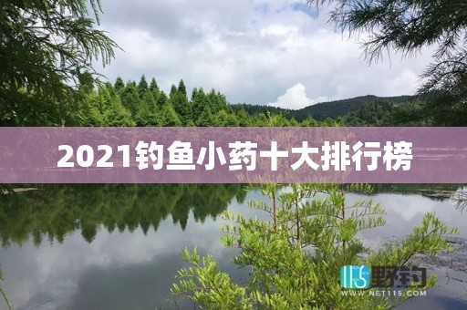 2021钓鱼小药十大排行榜