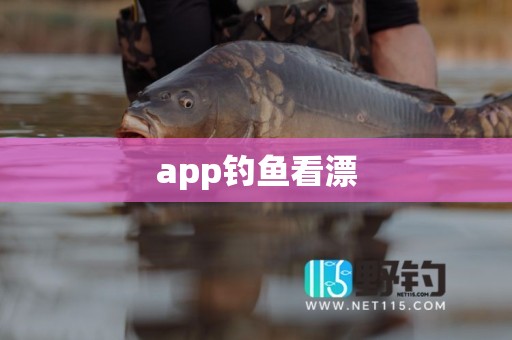 app钓鱼看漂