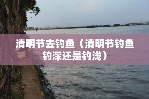 清明节去钓鱼（清明节钓鱼钓深还是钓浅）