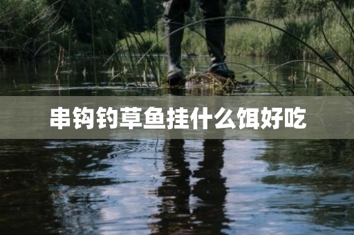 串钩钓草鱼挂什么饵好吃
