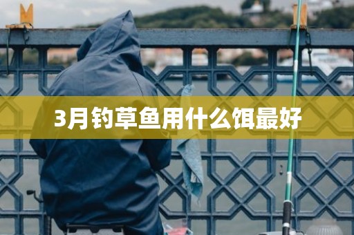 3月钓草鱼用什么饵最好
