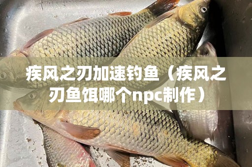 疾风之刃加速钓鱼（疾风之刃鱼饵哪个npc制作）