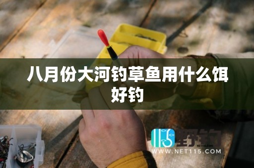 八月份大河钓草鱼用什么饵好钓